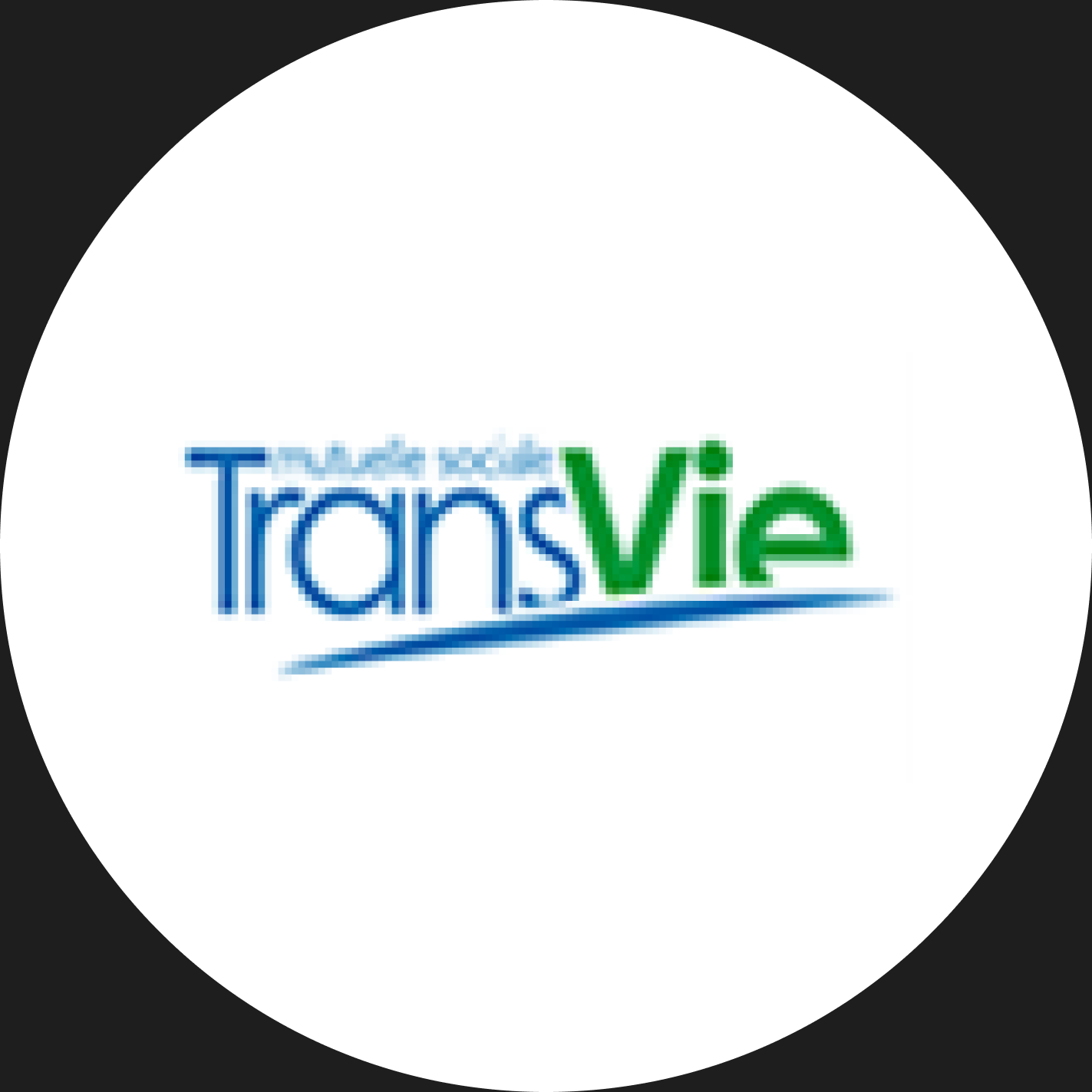Logo Transvie
